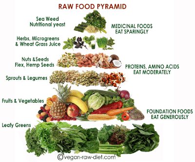 raw food pyramid