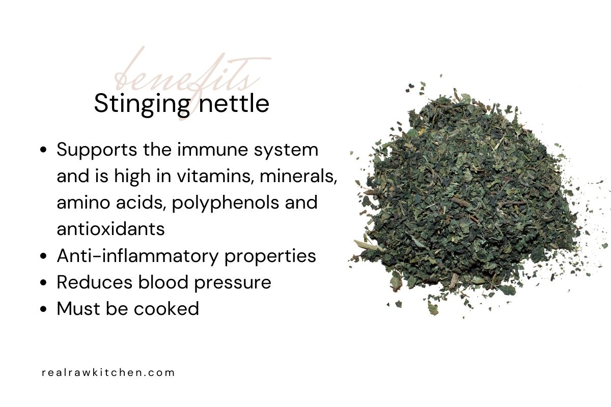 stinging nettle