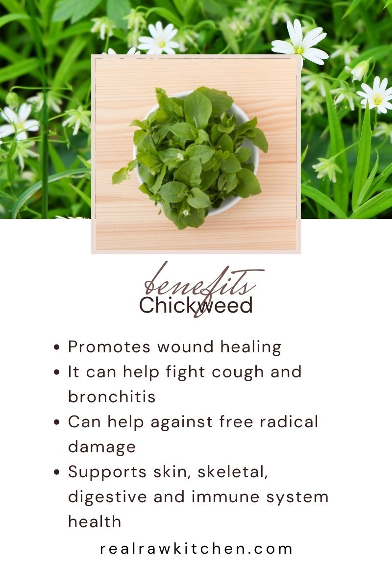 benefits of chickweed