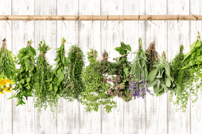 7 Herbs For PCOS (& Other Natural Remedies)